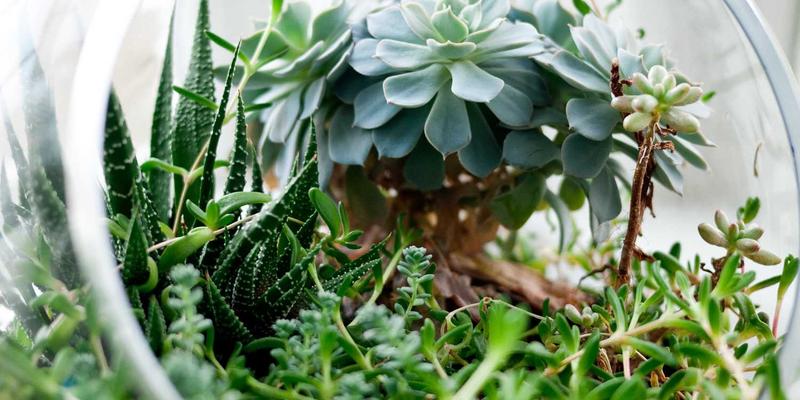 400G/800G以太网技术解析：驱动下一代数据中心互连的革命性网络技术