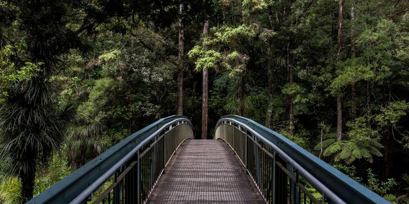 从NFV到云原生网络功能：转型挑战、机遇与实战技术教程