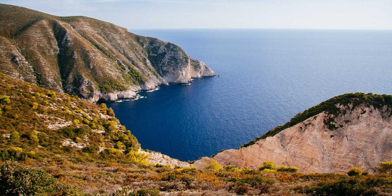 从Netflix到GitHub:网络技术实战案例解析与资源宝库