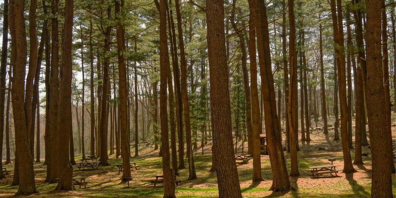 打通数据孤岛：多云与混合云网络架构设计的核心挑战与软件工具