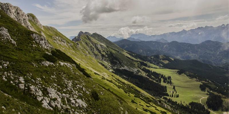 编程开发进阶指南:从技术教程到优质资源分享的全方位学习路径