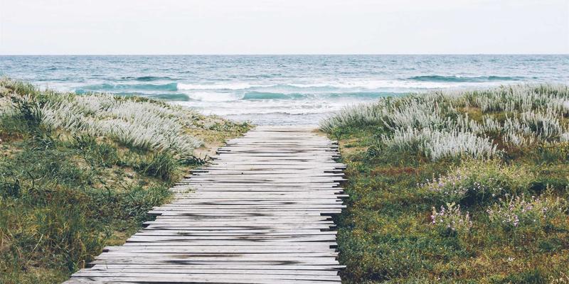 网络技术26：从编程开发到资源整合的全栈技术指南