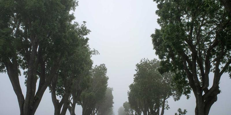 网络技术65：解锁IT资源与编程开发的高效学习路径