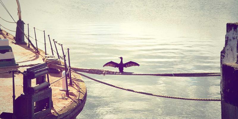 网络技术66：解锁IT资源、技术教程与资源共享的新维度