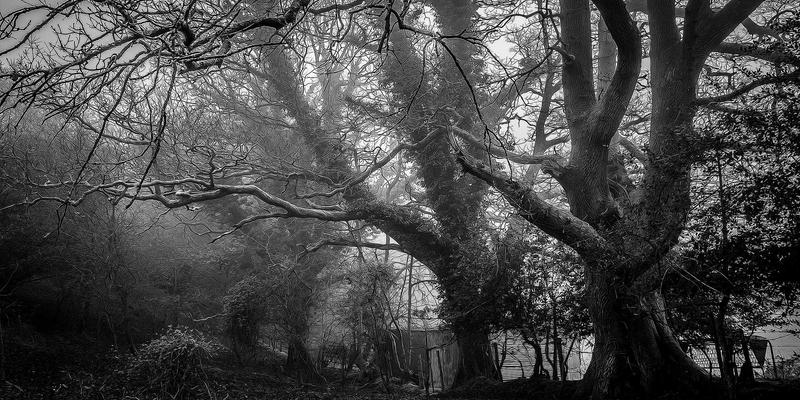 网络技术73：资源分享与编程开发实战指南