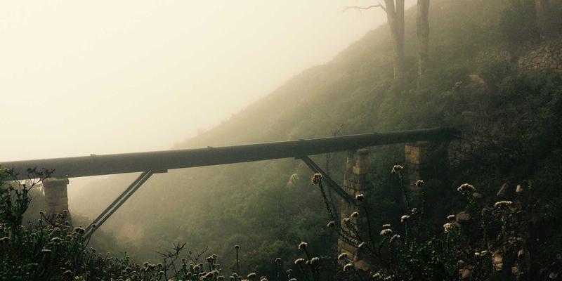 网络技术83:软件工具与IT资源的高效整合与分享策略