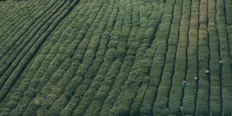 网络技术85:从技术教程到IT资源整合的编程开发实战指南