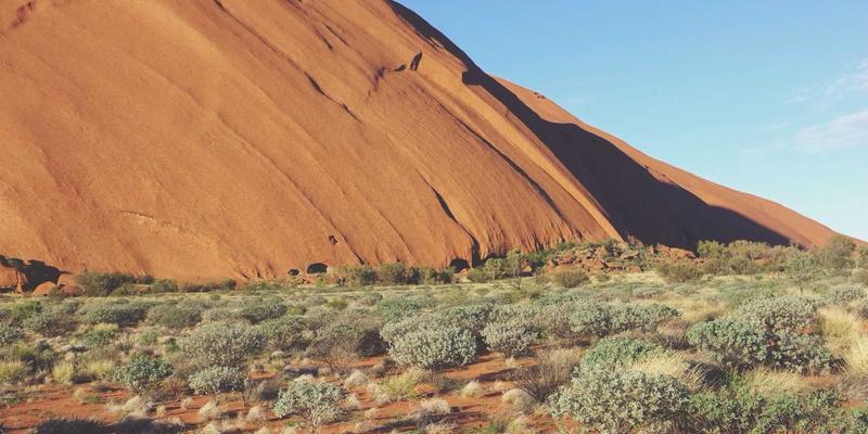 网络技术全攻略：从入门到精通的教程、工具与资源宝典