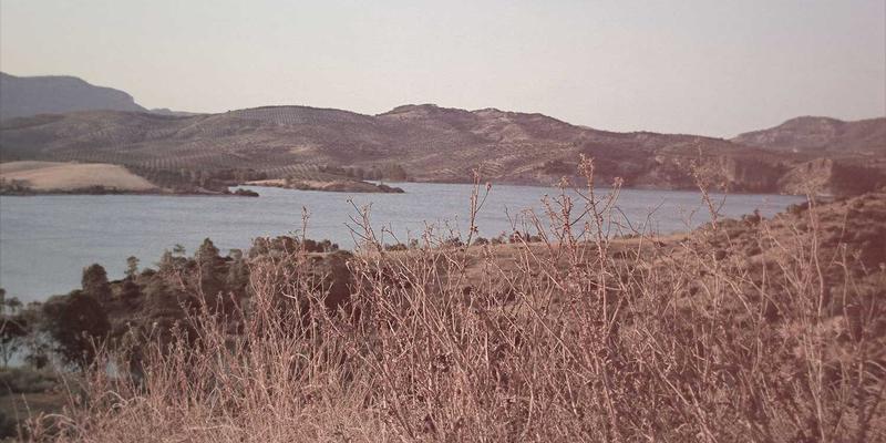 网络技术技巧：软件工具与编程开发的高效实践指南