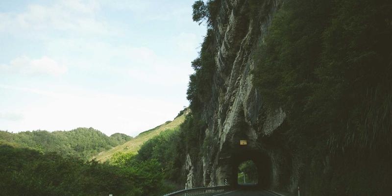 网络技术资源高效分享指南：构建IT从业者的知识宝库