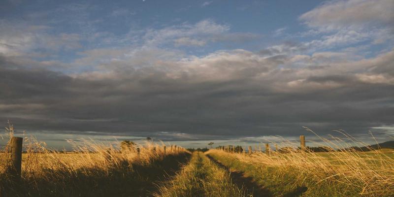 网络技术进阶指南：高效整合IT资源、软件工具与编程开发的核心策略