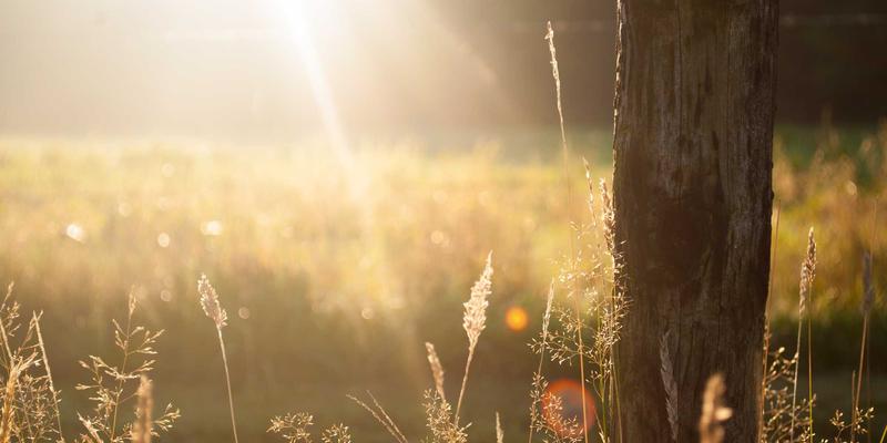 量子密钥分发（QKD）网络技术教程：原理、组网与未来资源分享